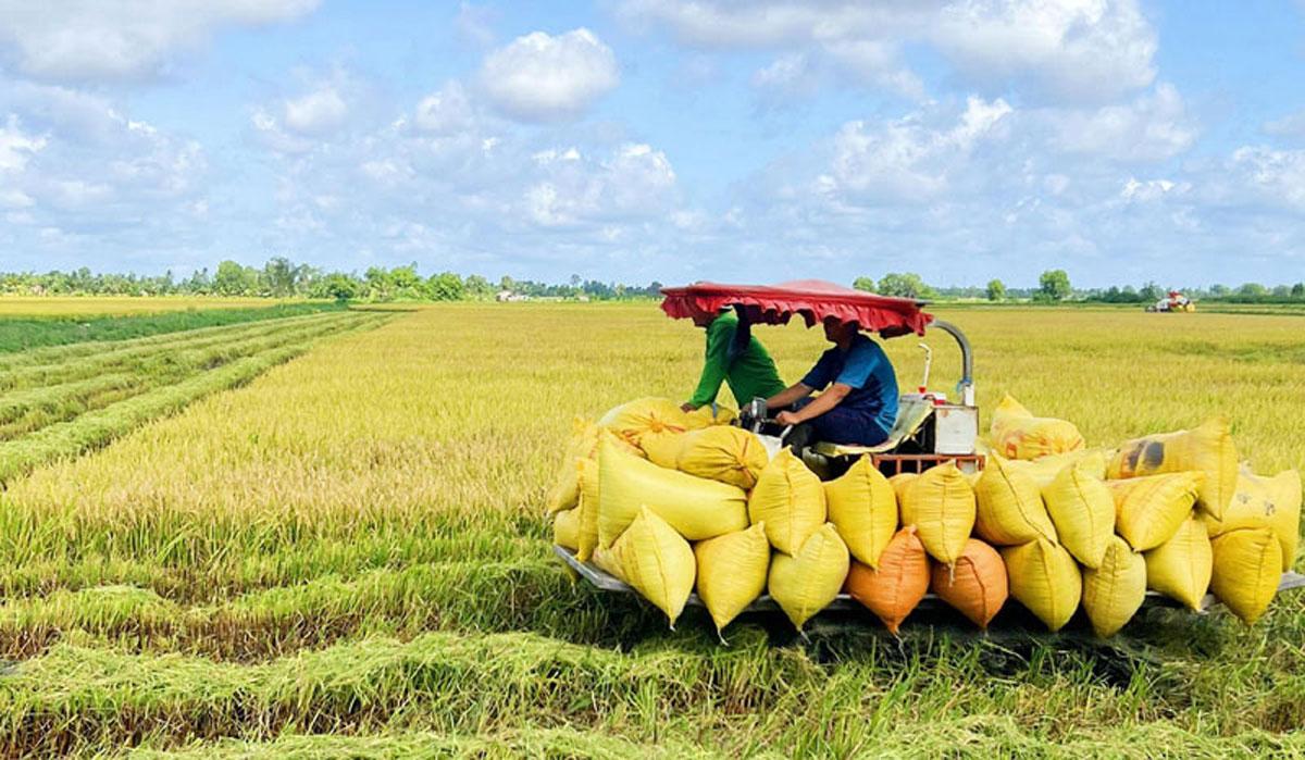 Tin mới